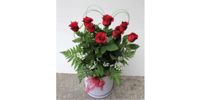 Big Box Red Love- 12 Roses
