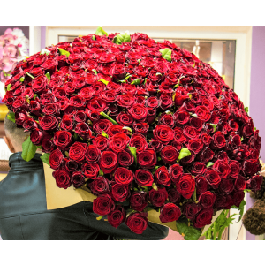 Enchanted Love(1000 Red Roses)