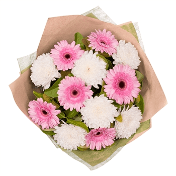 Diary 2024 Week To View Babys Breath Dried Flowers Artificial Gerbera  Flowers Gerbera Bouquet Indoor Outside Hanging Plants Valentines Day Gifts  50Th Birthday Gifts for Women : : Home & Kitchen