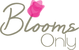 Blooms Only Mobile Logo