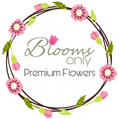 bloomsonly.com