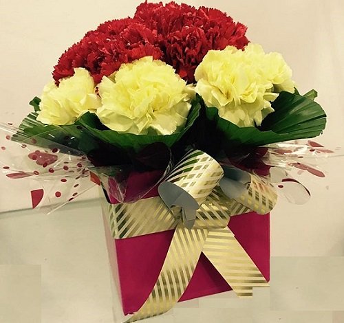 Carnations And Their Importance On Mother's Day | Blooms Only Pune Blog ...